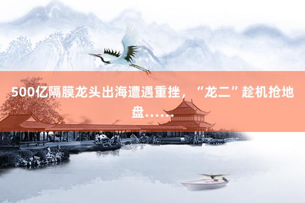 500亿隔膜龙头出海遭遇重挫，“龙二”趁机抢地盘……