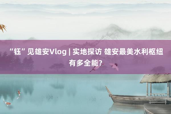 “钰”见雄安Vlog | 实地探访 雄安最美水利枢纽有多全能？